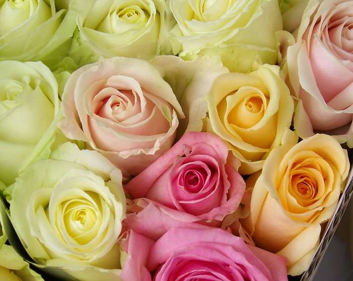 Fleuriste préparant un bouquet